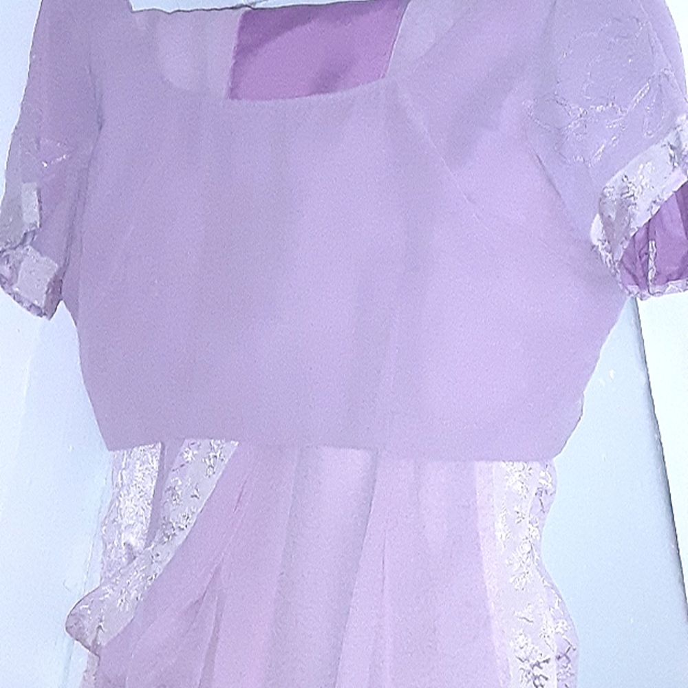 Pink Sari with matching blouse